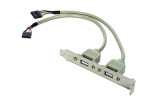 foto de SLOT BRACKET GEMBIRD 2x USB