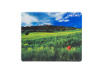 foto de ALFOMBRILLA NATEC PHOTO ITALIA 220X180 MM RATON