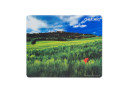 foto de ALFOMBRILLA NATEC PHOTO ITALIA 220X180 MM RATON