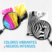 foto de HP Paquete de ahorro 303 negro/tricolor con 40 hojas/10 x 15 cm