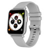 foto de SMARTWATCH LEOTEC 1,69 MULTISPORT STOR THERM PLATA