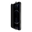 foto de SF T GLS PRIV ANT-MIC IPH 12/12 PRO