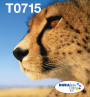foto de TINTA T0715 MULTIPACK 4 COL. EASYMA