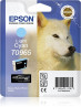 foto de TINTA CIAN CLARO STYLUS PHOTO R2880