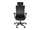 foto de SILLA GAMING GENESIS ASTAT 700 ERGONOMICA NEGRA