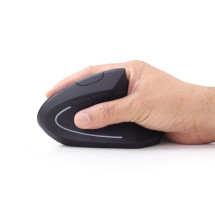 foto de RATON GEMBIRD MUSW-ERGO-01 NEGRO RF INALAMBRICO PILAS