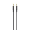 foto de CABLE AUDIO PORTATIL BELKIN CONECTORES 3,5MM 1M