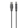 foto de BELKIN USB A/B CABLE 2.0 20/28 AWG 3M