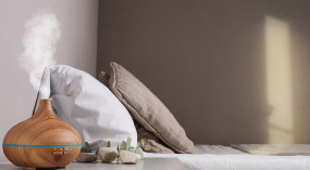 foto de HUMIDIFICADOR CECOTEC PURE AROMA 150 YANG V