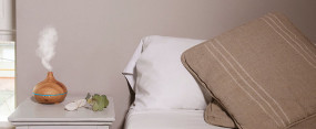 foto de HUMIDIFICADOR CECOTEC PURE AROMA 150 YANG V