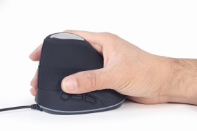 foto de RATON GEMBIRD MUS-ERGO-03 OPTICAL ERGONOMICO SPACE GREY USB