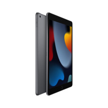 foto de IPAD WI-FI 64GB SPG