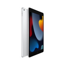 foto de IPAD 9ªGEN/A13/256GB/WIFI/10.2/SILVER