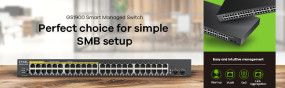 foto de GS1900-48 V2 48 PORT GBE L2    CPNTSMART MANAGED SWITCH
