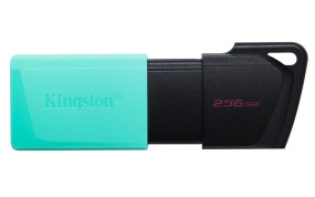 foto de MEMORIA USB 3.2 KINGSTON 256GB DATATRAVELER EXODIA M NEGRO