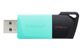 foto de MEMORIA USB 3.2 KINGSTON 256GB DATATRAVELER EXODIA M NEGRO