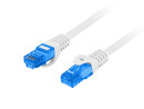 foto de CABLE RED LANBERG LATIGUILLO CAT.6A S/FTP LSZH CCA 0.5M GRIS FLUKE  PASSED