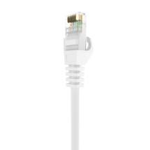 foto de CABLE RED AISENS LATIGUILLO RJ45 LSZH CAT.6A UTP AWG24 1.5M BLANCO