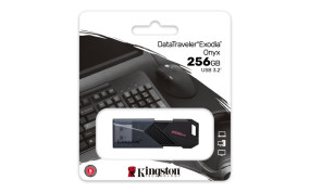 foto de MEMORIA USB 256GB KINGSTON DTXON/256GB USB3.2