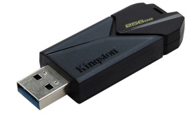 foto de MEMORIA USB 256GB KINGSTON DTXON/256GB USB3.2