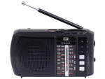 foto de RADIO PORTATIL TREVI MULTIBANDA BLUETOOTH USB MICRO SD RA 7F20 BT NEGRO