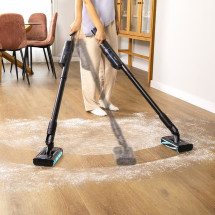 foto de ASPIRADOR VERTICAL CECOTEC SCOBA 2100 TWICE ANIMAL