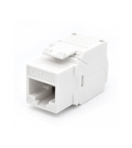 foto de PRESA KEYSTONE WP CAT.6A UTP, TOOLLESS, COLOR BLANCO