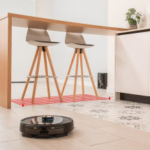 foto de CONGA CECOTEC  8290 IMMORTAL ULTRA POWER HOME X-TREME