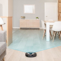 foto de CONGA CECOTEC  8290 IMMORTAL ULTRA POWER HOME X-TREME