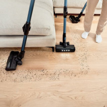 foto de ASPIRADOR VERTICAL CONGA CECOTEC ROCKSTAR 6500 CENTURY ERGOWET ANIMAL