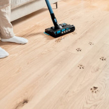 foto de ASPIRADOR VERTICAL CONGA CECOTEC ROCKSTAR 6500 CENTURY ERGOWET ANIMAL