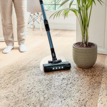 foto de ASPIRADOR VERTICAL CONGA CECOTEC ROCKSTAR 6500 CENTURY ERGOWET ANIMAL