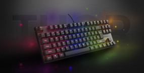 foto de TECLADO GAMING GENESIS THOR 303 USB RETROILUMINADO MECANICO NEGRO