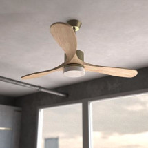 foto de VENTILADOR DE TECHO ENERGYSILENCE AERO 5290 GOLDEN PRO