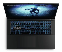 foto de PORTATIL MEDION  ERAZER Defender P50 i7-12650H 16GB 1TB 17,3 RTX4060 W11