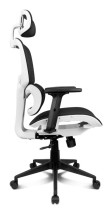foto de SILLA GAMING DRIFT DRAIR 200  TEJIDO NEGRO / BLANCO MALLA