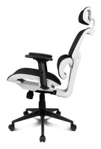 foto de SILLA GAMING DRIFT DRAIR 200  TEJIDO NEGRO / BLANCO MALLA