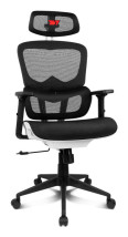 foto de SILLA GAMING DRIFT DRAIR 200  TEJIDO NEGRO / BLANCO MALLA