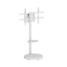 foto de SOPORTE EWENT MOVIL PARA TV 86 Y 50KG