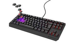 foto de TECLADO GAMING GENESIS THOR230 TKL ES USB RETROILUMINADO MECANICO NEGRO