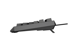 foto de TECLADO GAMING GENESIS THOR230 TKL ES USB RETROILUMINADO MECANICO NEGRO