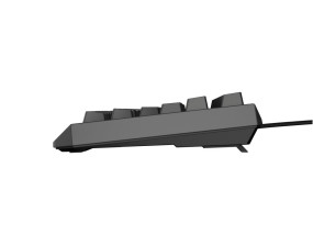 foto de TECLADO GAMING GENESIS THOR230 TKL ES USB RETROILUMINADO MECANICO NEGRO