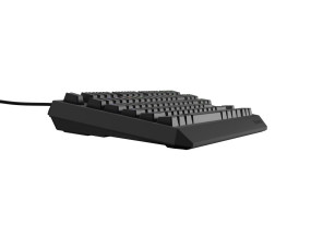 foto de TECLADO GAMING GENESIS THOR230 TKL ES USB RETROILUMINADO MECANICO NEGRO