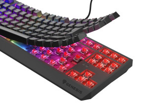 foto de TECLADO GAMING GENESIS THOR230 TKL ES USB RETROILUMINADO MECANICO NEGRO
