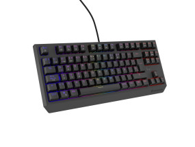 foto de TECLADO GAMING GENESIS THOR230 TKL ES USB RETROILUMINADO MECANICO NEGRO