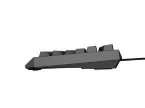 foto de TECLADO GAMING GENESIS THOR230 TKL ES USB RETROILUMINADO MECANICO NEGRO