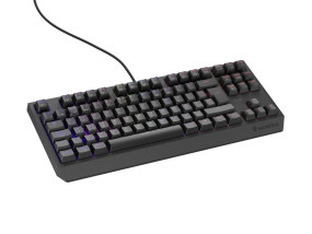 foto de TECLADO GAMING GENESIS THOR230 TKL ES USB RETROILUMINADO MECANICO NEGRO