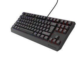 foto de TECLADO GAMING GENESIS THOR230 TKL ES USB RETROILUMINADO MECANICO NEGRO