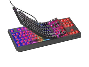 foto de TECLADO GAMING GENESIS THOR230 TKL ES USB RETROILUMINADO MECANICO NEGRO