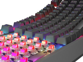 foto de TECLADO GAMING GENESIS THOR230 TKL ES USB RETROILUMINADO MECANICO NEGRO